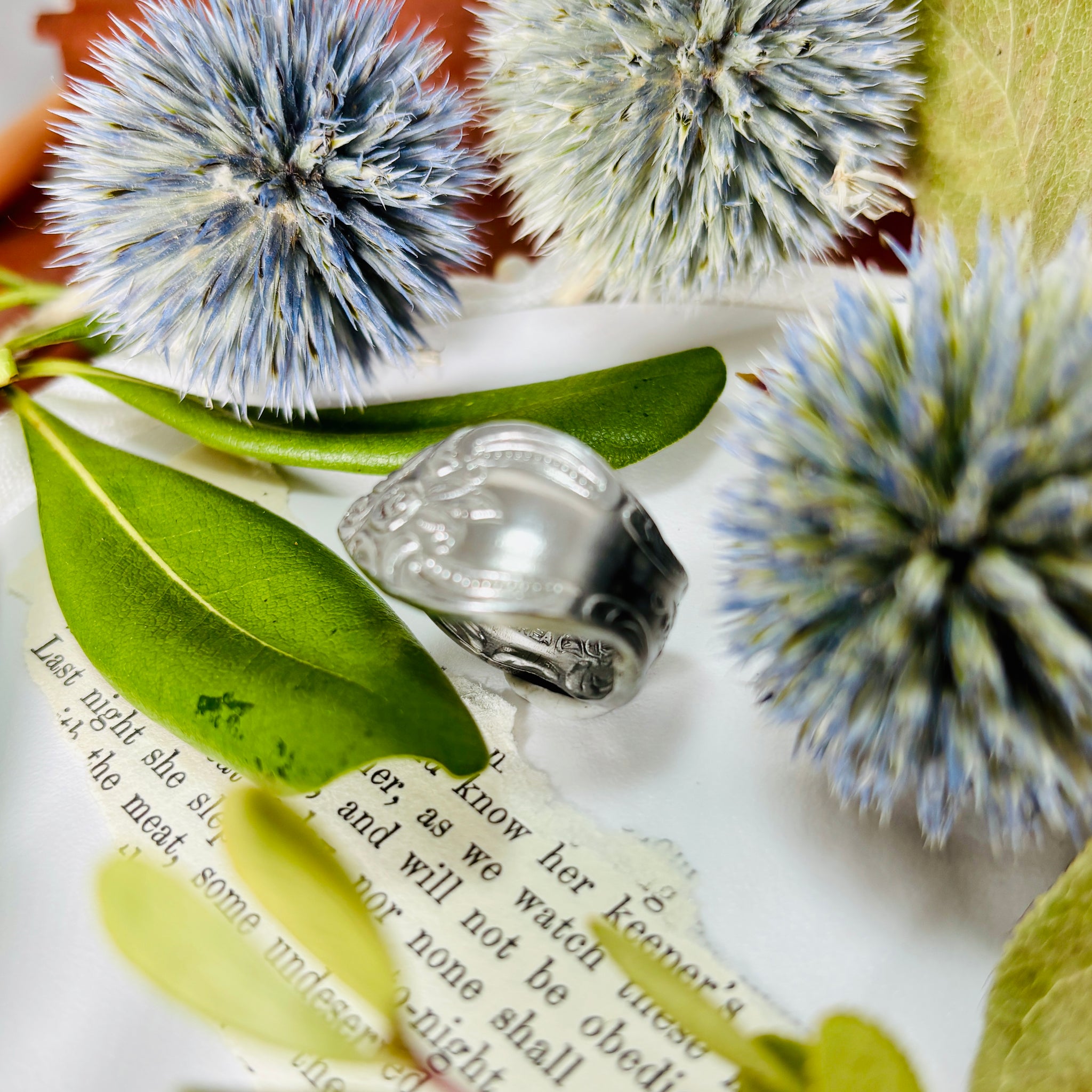 “Swirly Filigree”~Classic Stainless Spoon Ring