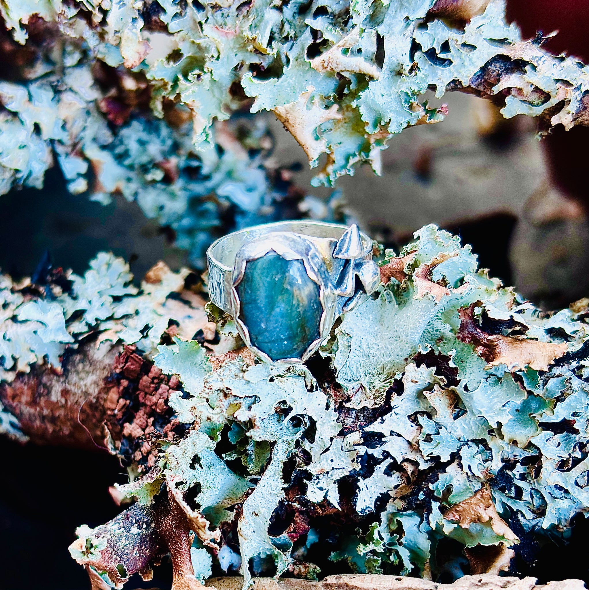 “ FOREST MUSHROOM FRIENDS”~ Labradorite Sterling Silver Ring
