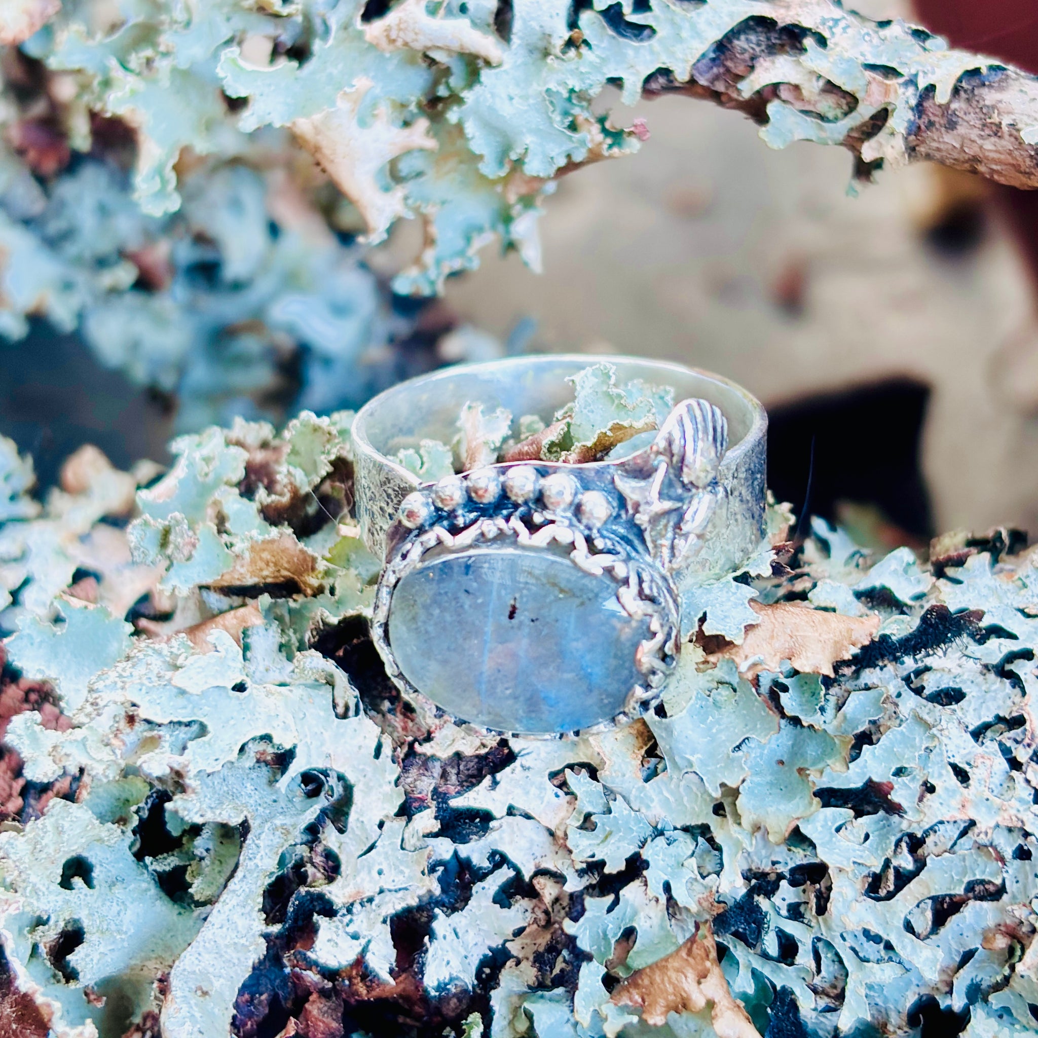 “LOVE OF THE SEA” ~ Oval Labradorite Sea Shell Sterling Silver Ring